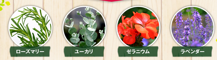 ピンククロスアロマシャンプー,効果,口コミ